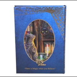 Magical Emporium Journal (LP) 17cm