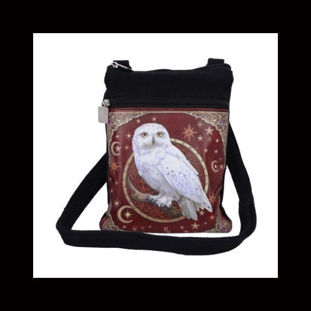 Magical Flight Shoulder Bag 23 cm