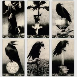 Murder of Crows Tarot Cards