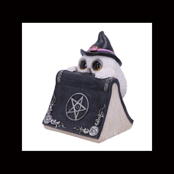 Owl's Spell 15cm