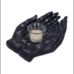 Palmist's Guide (Black) 22.3cm