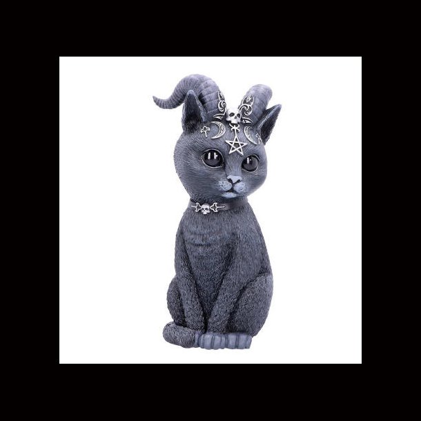 Pawzuph 26.5cm