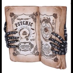 Psychic Compendium 25.8cm