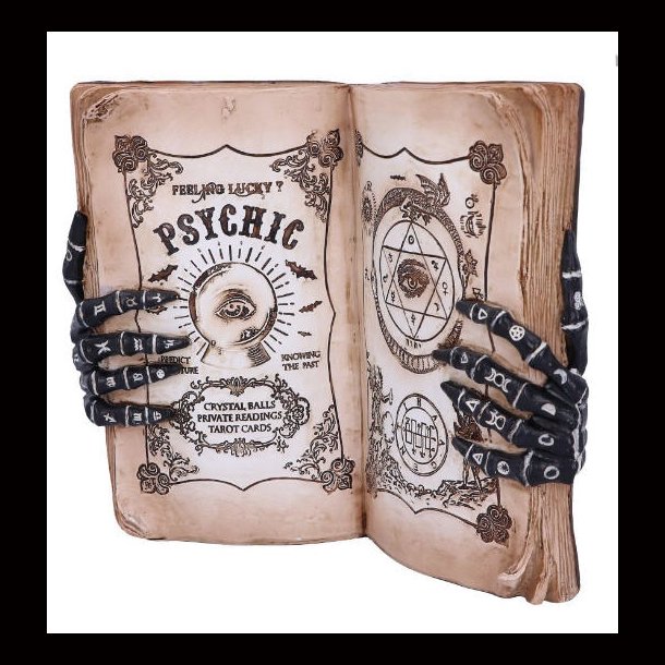 Psychic Compendium 25.8cm