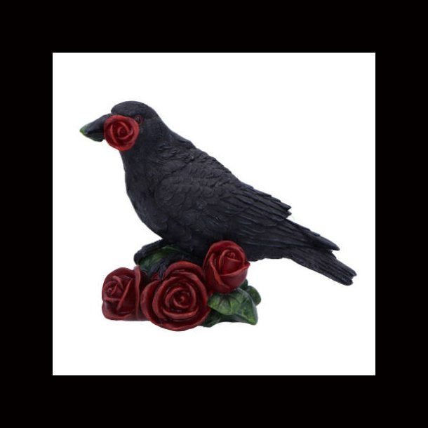 Rose of the Raven 14cm