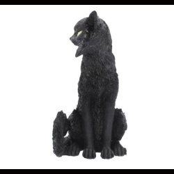 Salem Large Black Cat