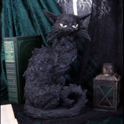 Salem Large Black Cat