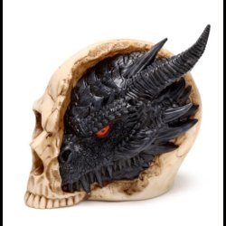 Shadows of Darkness Black Dragon in Skull