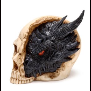 Shadows of Darkness Black Dragon in Skull