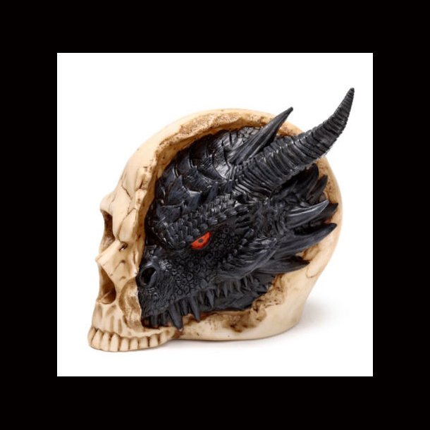 Shadows of Darkness Black Dragon in Skull