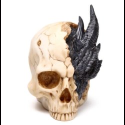 Shadows of Darkness Black Dragon in Skull