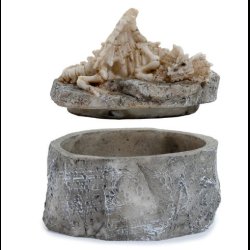 Shadows of Darkness Sleeping Bones Dragon Skeleton Trinket Box