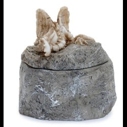 Shadows of Darkness Sleeping Bones Dragon Skeleton Trinket Box