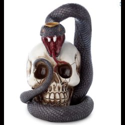 Snake &amp; Skull Backflow Incense Burner