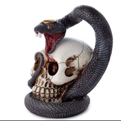 Snake &amp; Skull Backflow Incense Burner