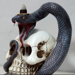 Snake &amp; Skull Backflow Incense Burner