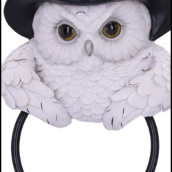 Snowy Magic Door Knocker 21cm