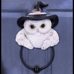 Snowy Magic Door Knocker 21cm