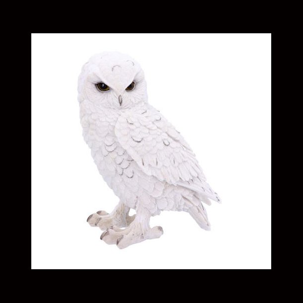 Snowy Watch Large White Owl Ornament 20cm