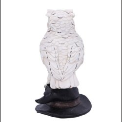 Soren White Owl on a Witches Hat 