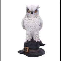 Soren White Owl on a Witches Hat 