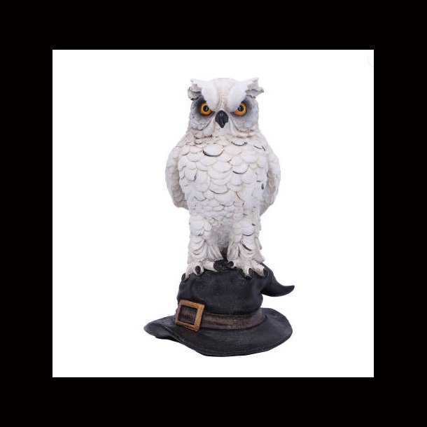 Soren White Owl on a Witches Hat 