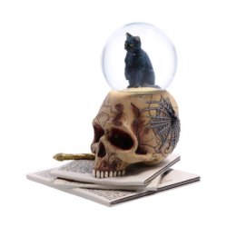 Spirits of Salem Snow Globe by Lisa Parker