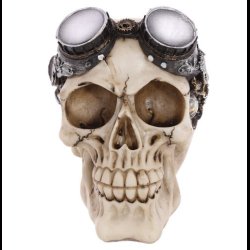 Steampunk Style Skull Decoration with Goggles