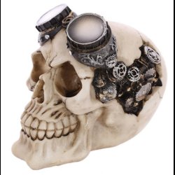 Steampunk Style Skull Decoration with Goggles