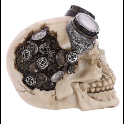 Steampunk Style Skull Decoration with Goggles