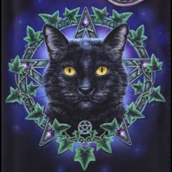 The Charmed One Embossed Purse (LP) 18.5cm