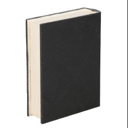 The Raven Book Shaped Storage Box