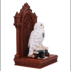 The Scribe's Companion Enchanting Owl Ornament 23.5cm 