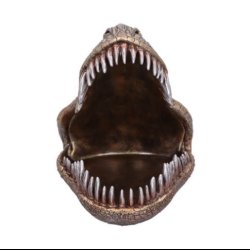 Tyrannosaurus Rex Dish 24cm