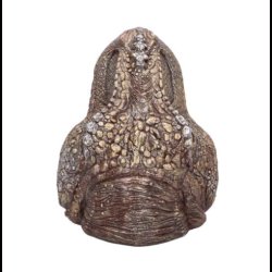 Tyrannosaurus Rex Dish 24cm