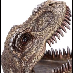 Tyrannosaurus Rex Dish 24cm